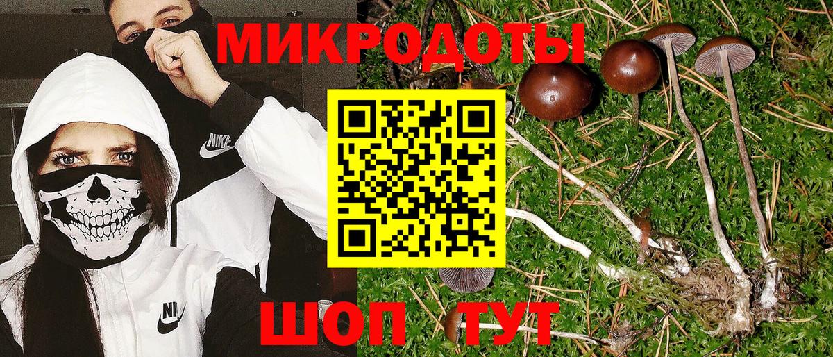 Галлюциногенные грибы ЛСД Ялуторовск