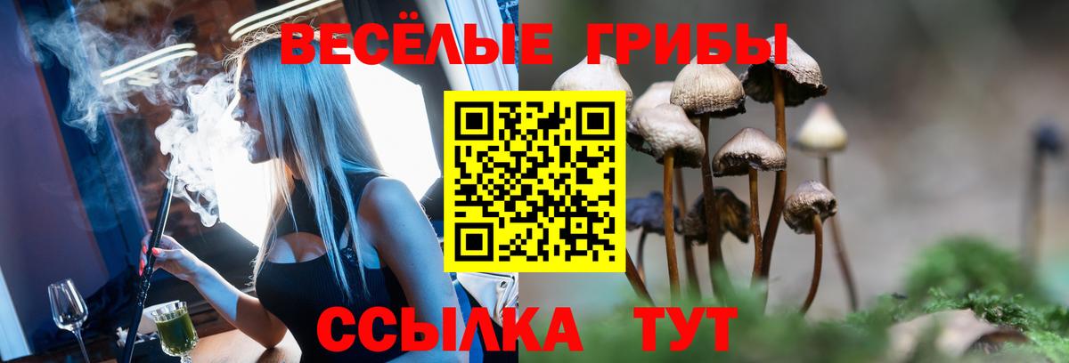 Псилоцибиновые грибы GOLDEN TEACHER  купить наркотики цена  Ялуторовск  Вход с VPN 